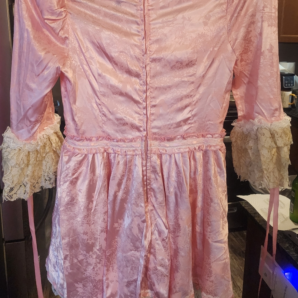 Pink Lace Women's Dress 18ptp Nwt - Picture 2 of 8